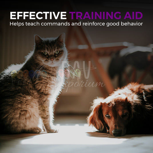 Clicker with wrist strap for trainin