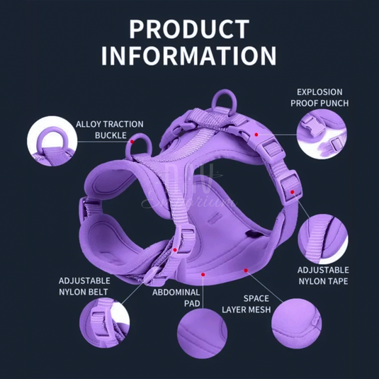 Walk Kit- The Ultimate Companion for Modern Pet Owners