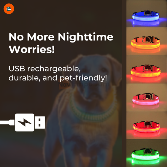 High-visibility LED pet collar