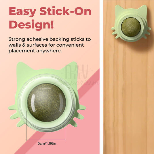 Wall-mounted cat play toy