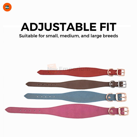 Stylish leather collar for dogs