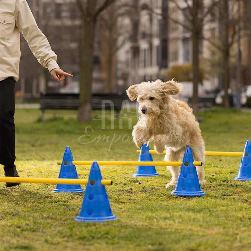 Adjustable dog agility equipment setup