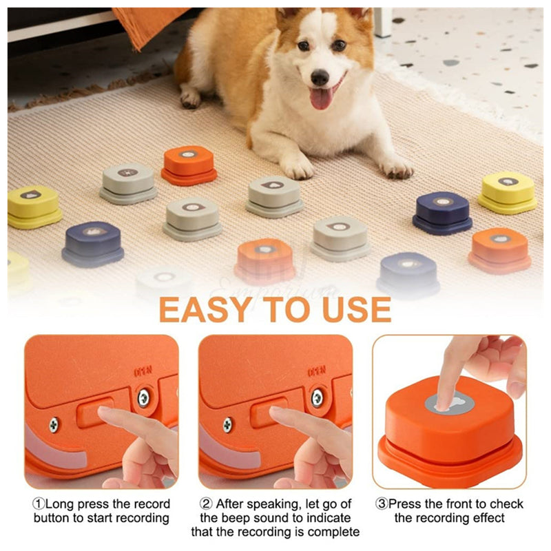 Interactive pet communication tool