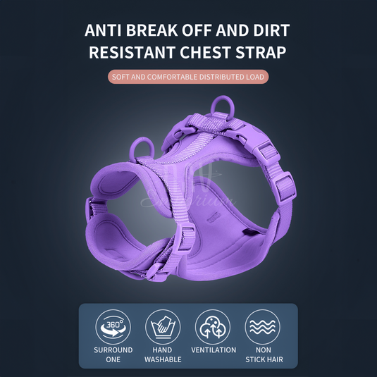 Walk Kit- The Ultimate Companion for Modern Pet Owners