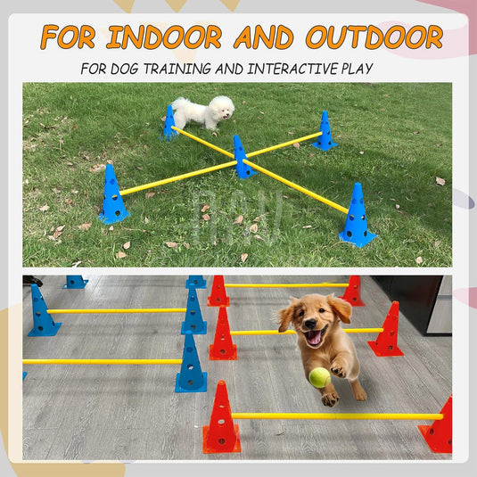 Portable dog agility training set in use