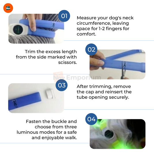 Bright LED collar for dogs