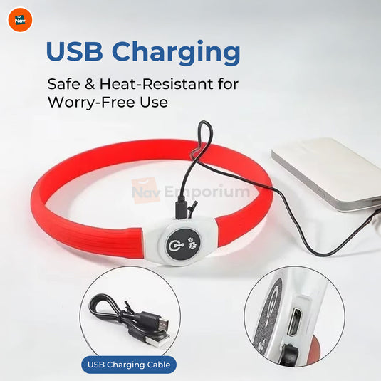 Night safety LED dog collar