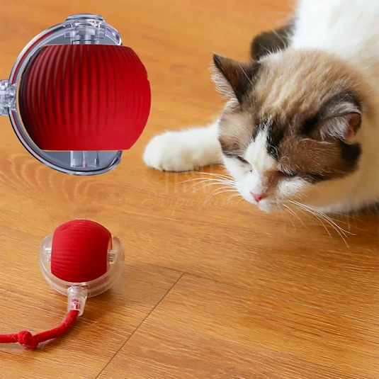 Motion-Activated Ball