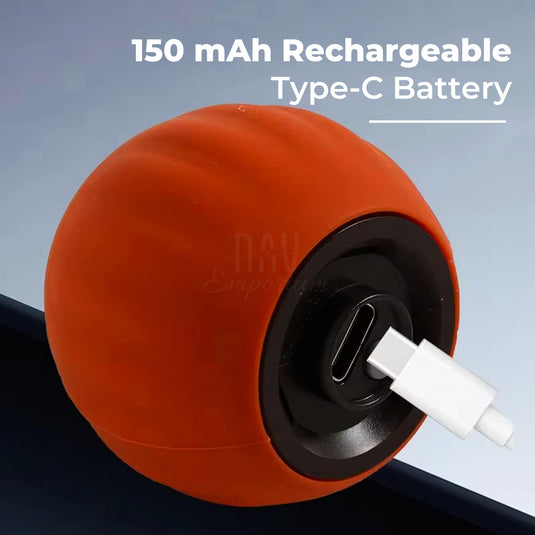 Cat engaging with toy