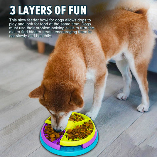 Interactive dog feeding bowl
