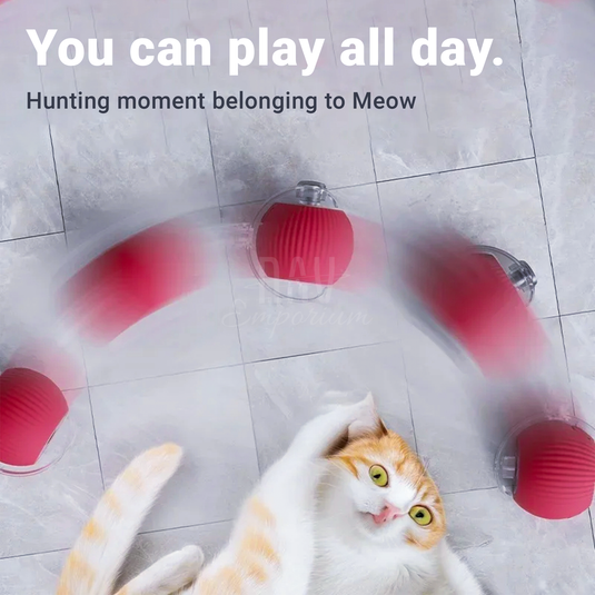 Self-Moving Pet Toy