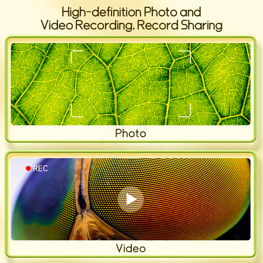 Curious Scope Explorer 13