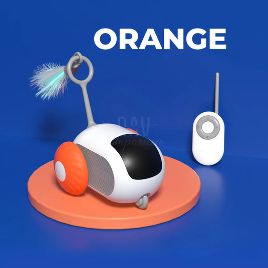 Cat exercising with interactive toy