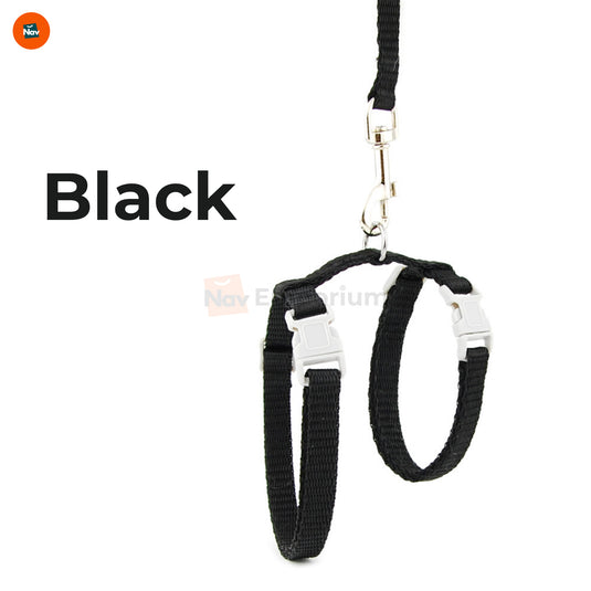 Vet-approved cat harness set
