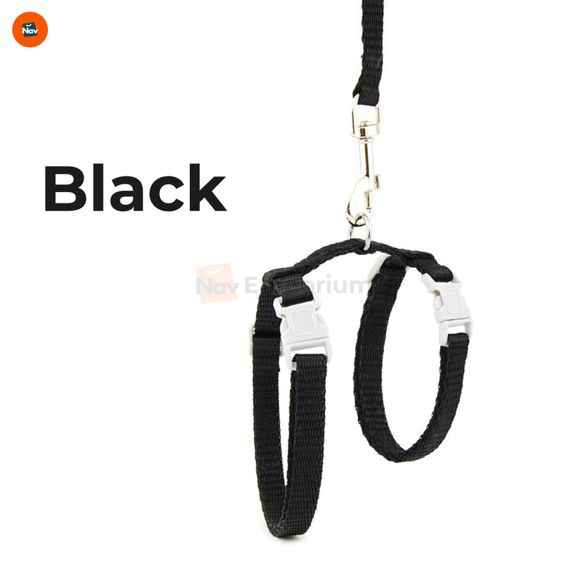 Vet-approved cat harness set