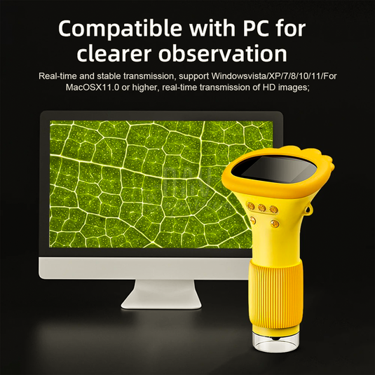 Curious Scope Explorer 6