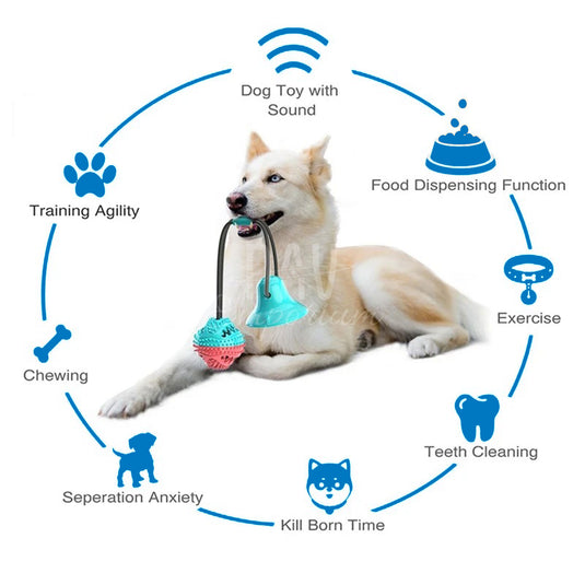 Interactive play ball