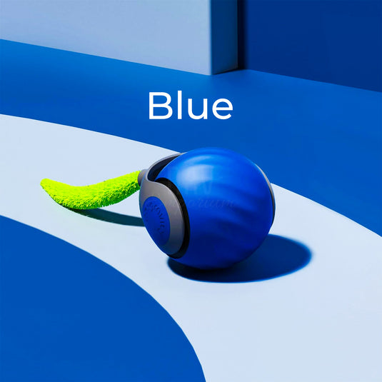 Compact interactive cat toy