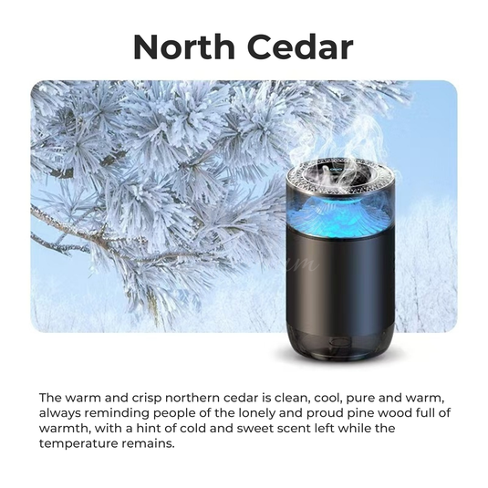 Refillable car scent diffuser