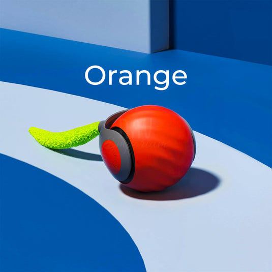 Compact interactive cat toy