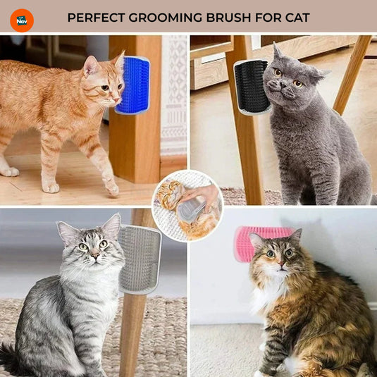 Cat brush with catnip compartment