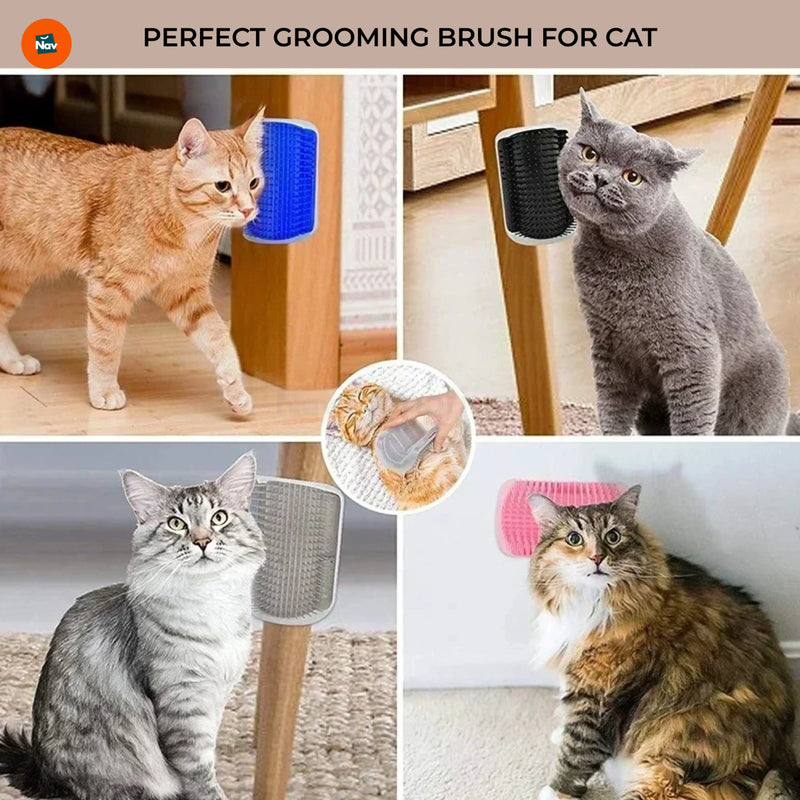 Cat brush with catnip compartment