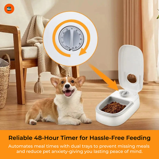 Pet feeder ice pack slot
