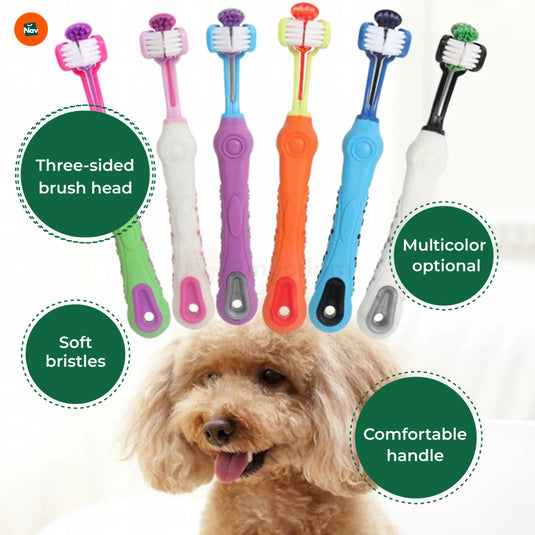 Soft bristle dog toothbrush