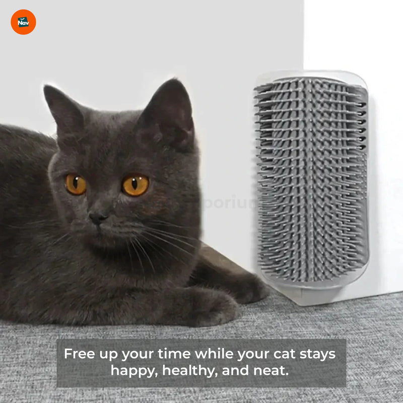 Cat corner scratcher brush