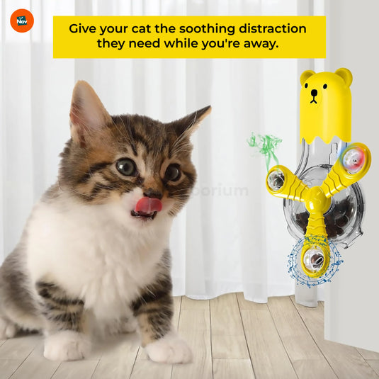 Wall-mounted cat toy