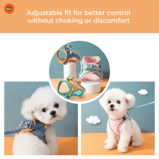Cat harness with leash