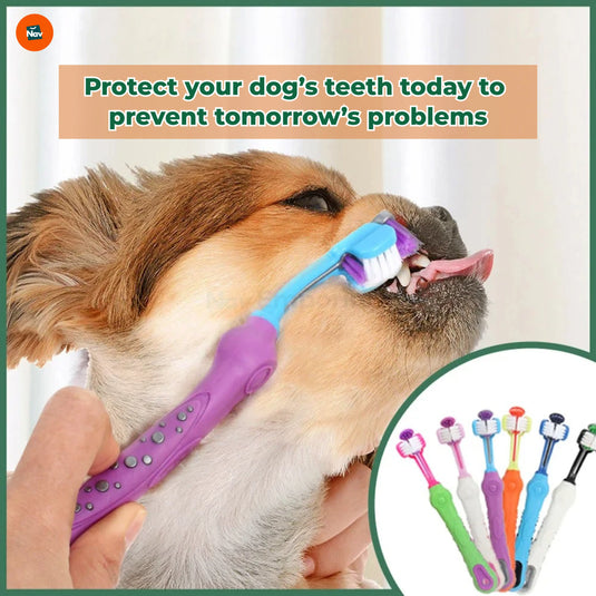 Best dog toothbrush 2025