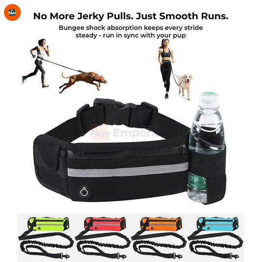 shock absorption, bungee dog leash
