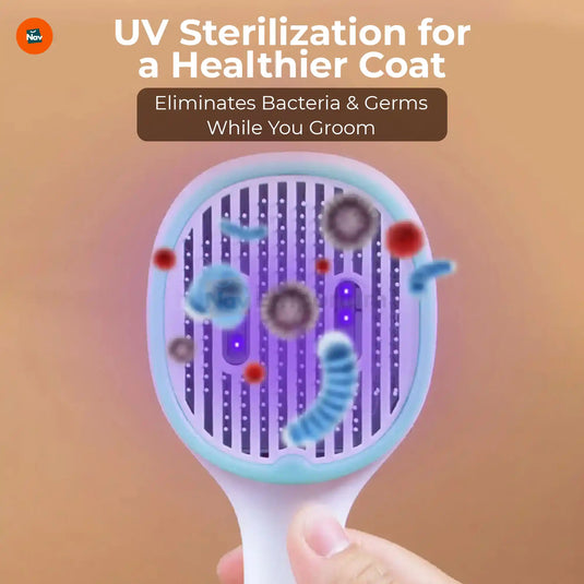 Sterilizing pet grooming comb
