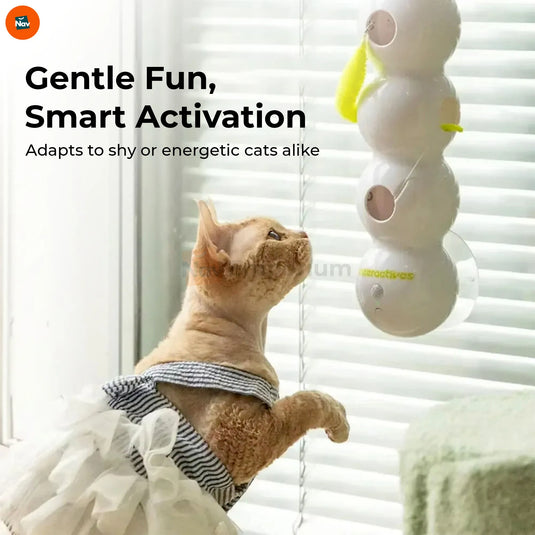 Motion activated cat toy with sensor