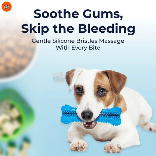 Feature image silicone bristles dog toothbrush chew toy