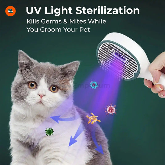 Pet hair remover brush