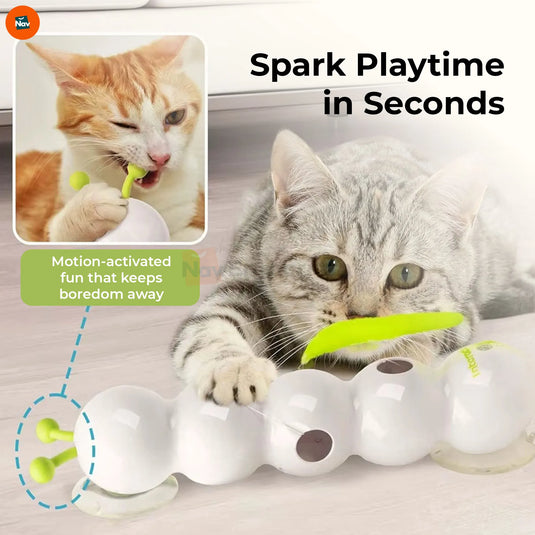 Interactive cat toy with strong suction base
