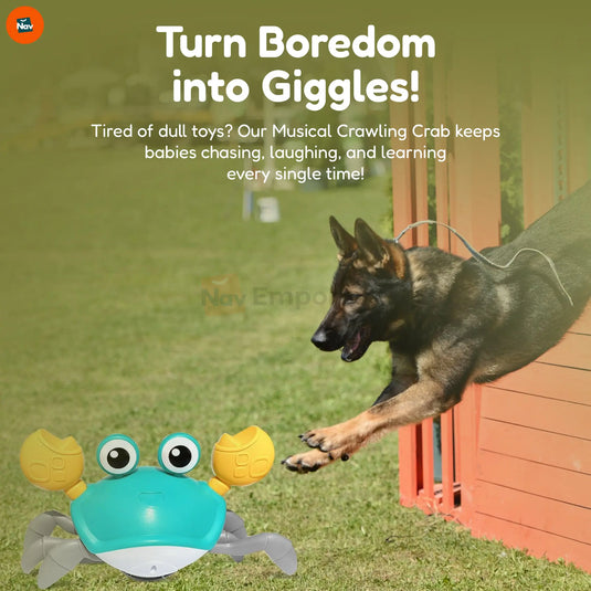 USB rechargeable baby toy