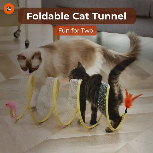 Cat tunnel with hanging toys