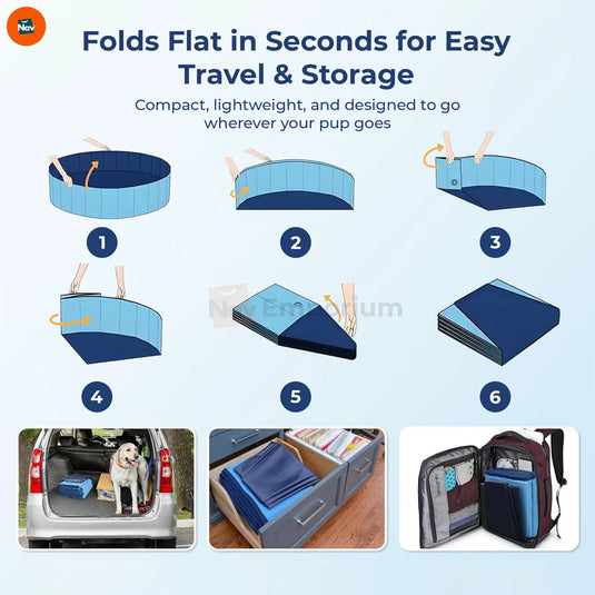 Hard Plastic Dog Pool