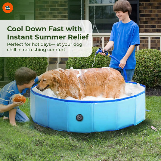 Collapsible Pet Pool Outdoor