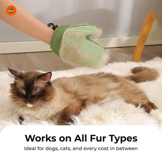 Cat hair remover glove
