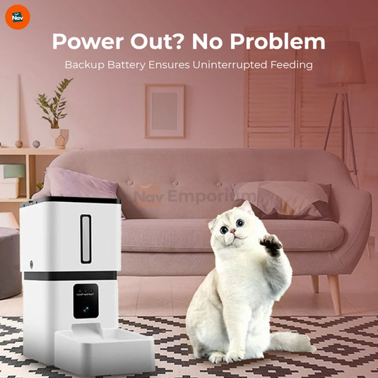 HD camera pet feeder