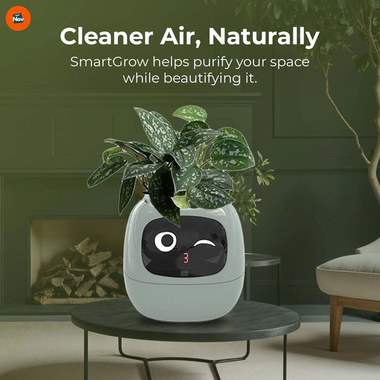SmartGrow planter with air purifier