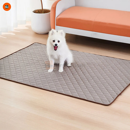 Portable dog cooling pad foldable