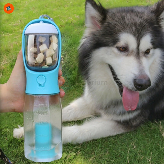 Portable dog water bottle