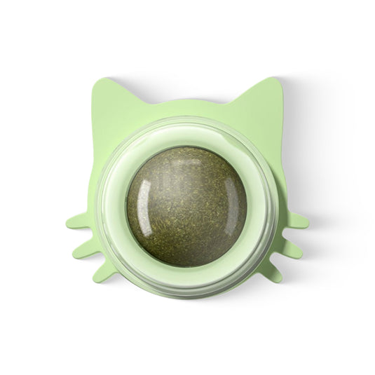 Interactive catnip wall toy