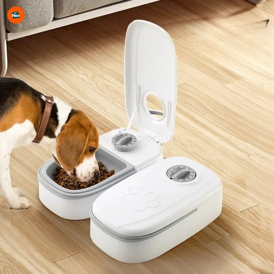 Pet food dispenser timer