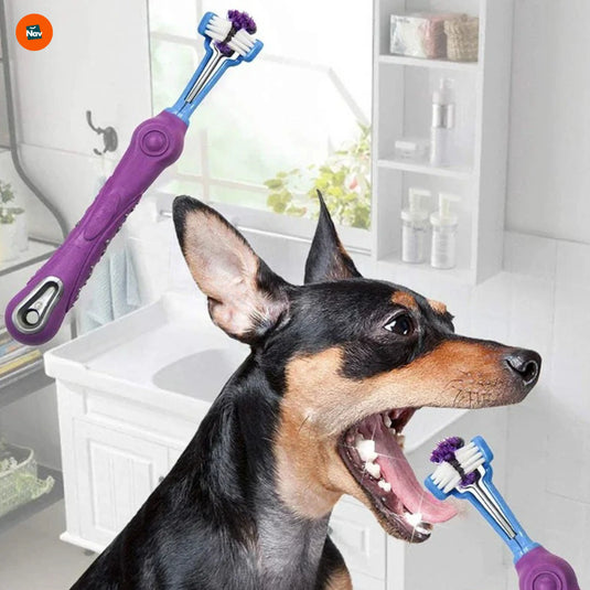 Triple head pet toothbrush